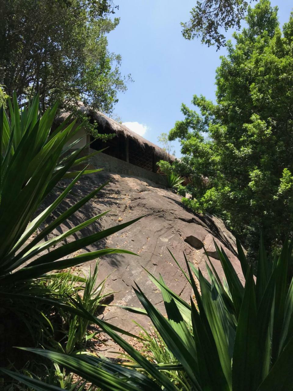 Galapita Eco Lodge Buttala エクステリア 写真