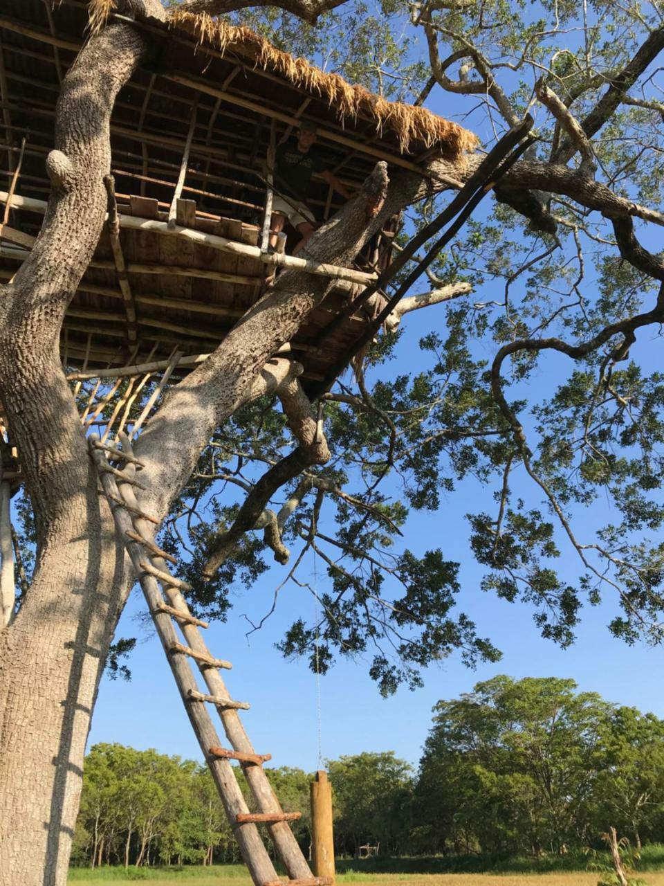 Galapita Eco Lodge Buttala エクステリア 写真