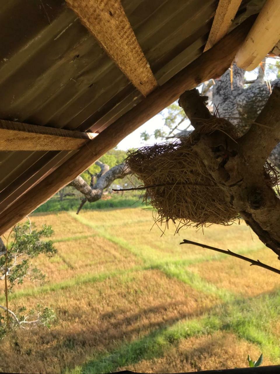 Galapita Eco Lodge Buttala エクステリア 写真