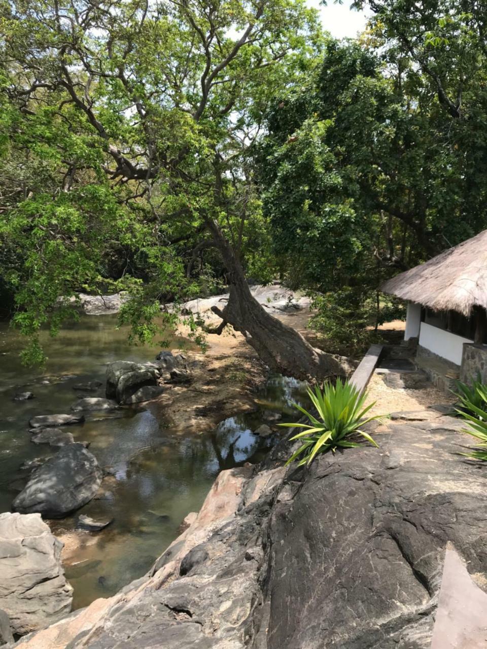 Galapita Eco Lodge Buttala エクステリア 写真