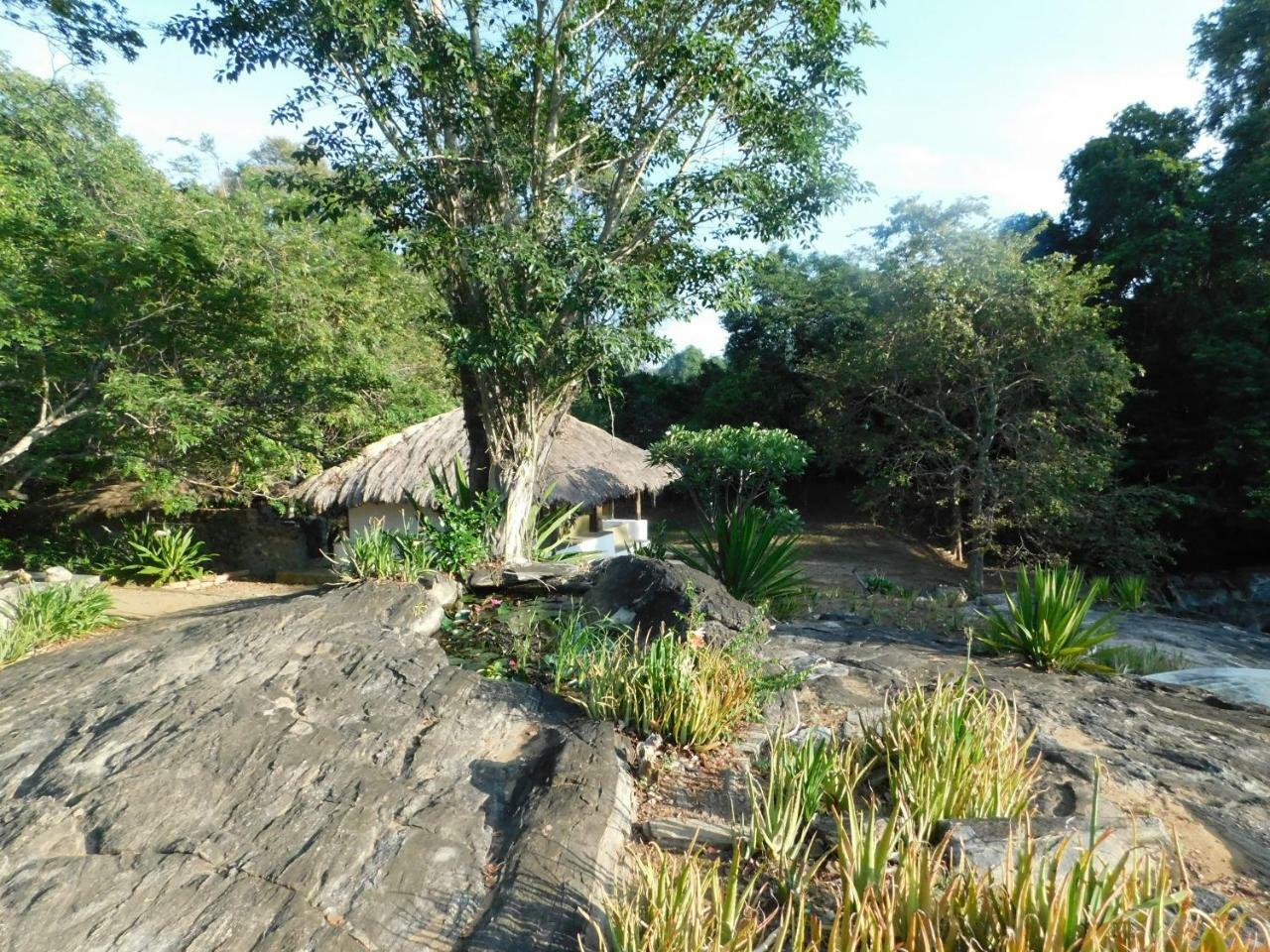 Galapita Eco Lodge Buttala 部屋 写真