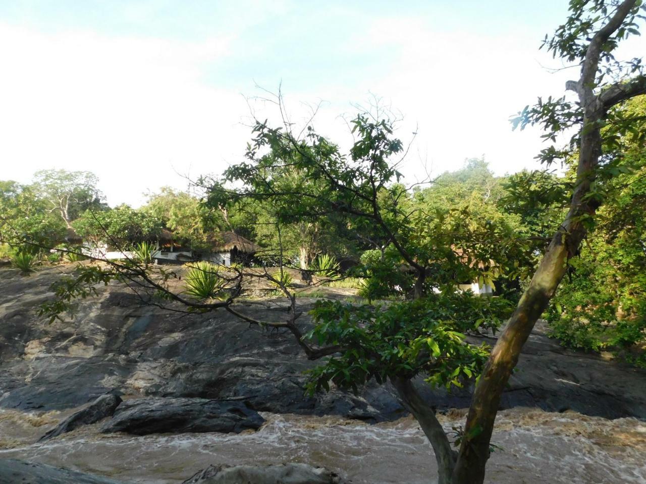 Galapita Eco Lodge Buttala 部屋 写真