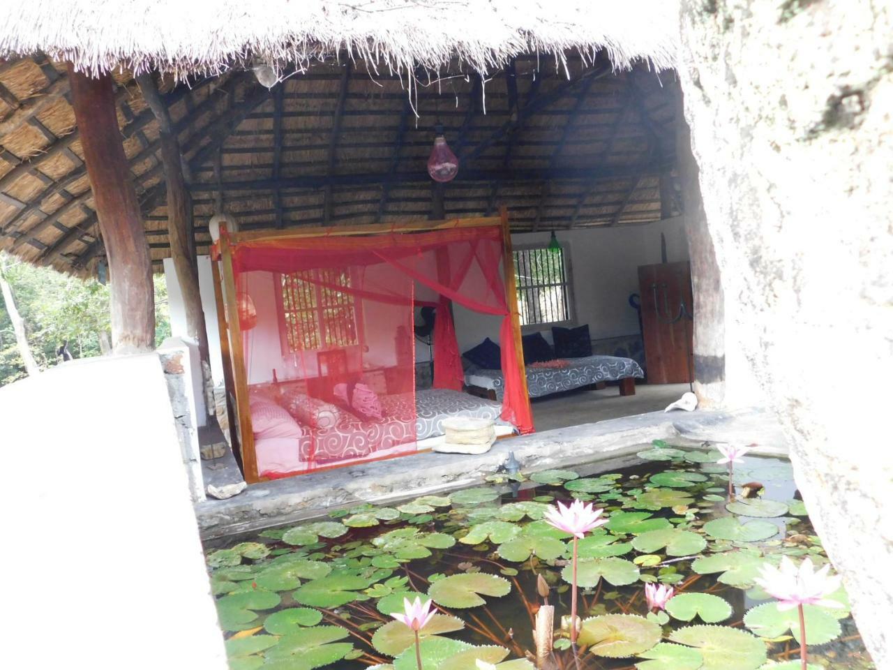Galapita Eco Lodge Buttala エクステリア 写真