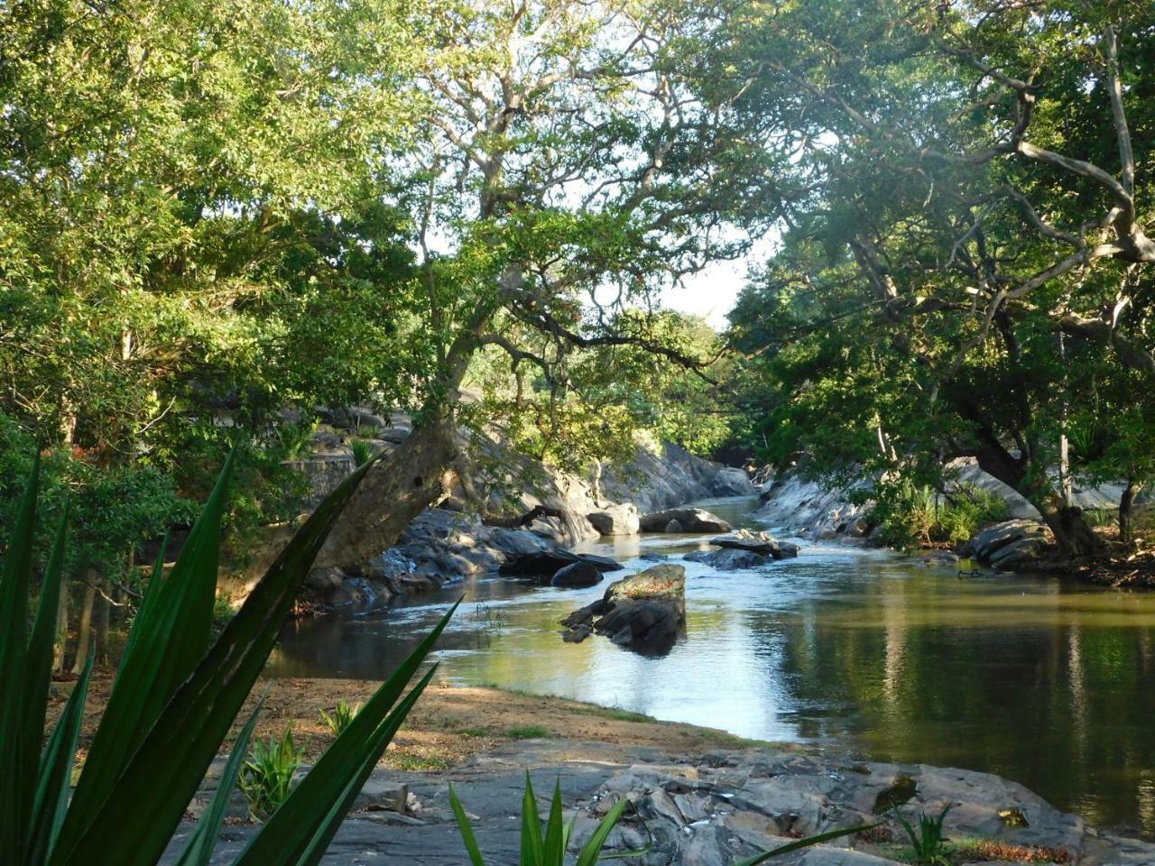 Galapita Eco Lodge Buttala エクステリア 写真
