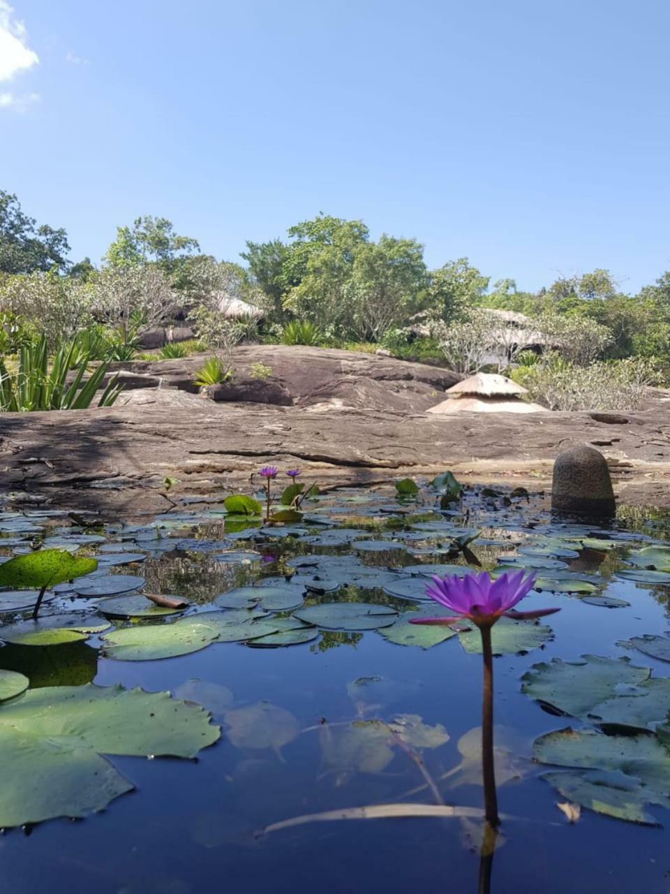 Galapita Eco Lodge Buttala エクステリア 写真