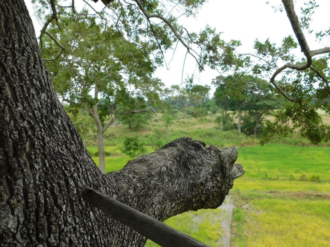 Galapita Eco Lodge Buttala エクステリア 写真