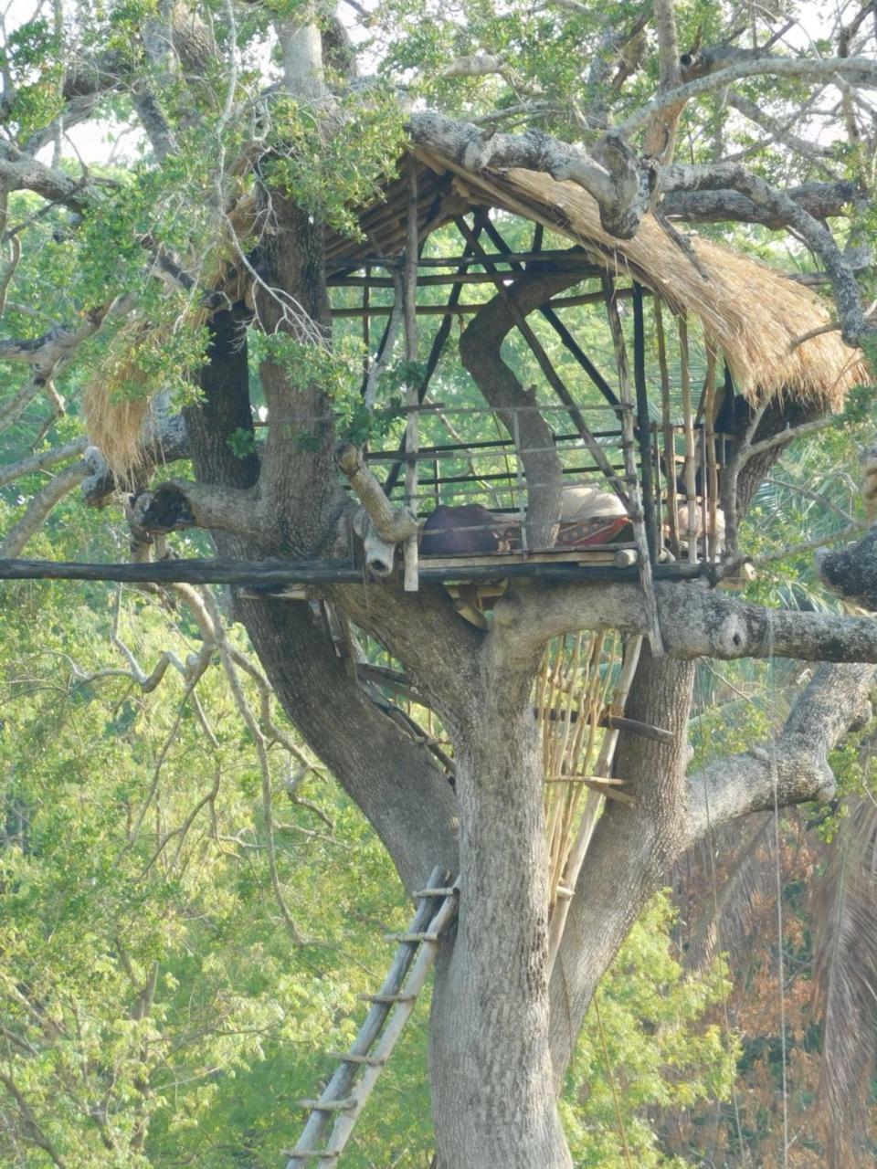 Galapita Eco Lodge Buttala エクステリア 写真